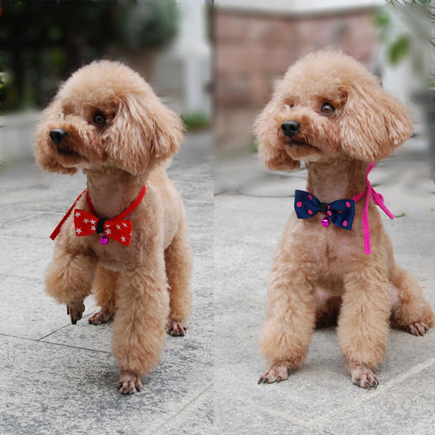 Pet accessories pet bow